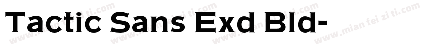 Tactic Sans Exd Bld字体转换